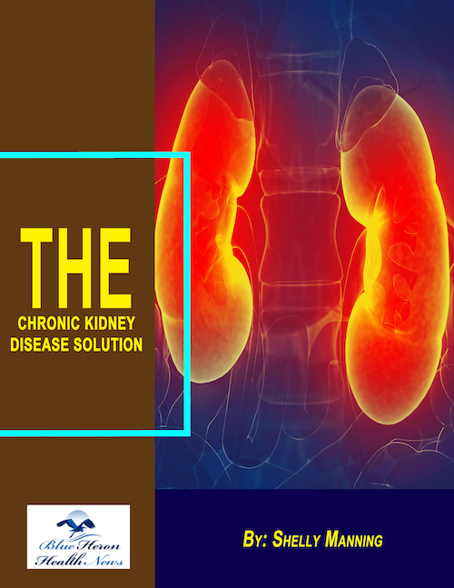 The Chronic Kidney Disease Solution Program